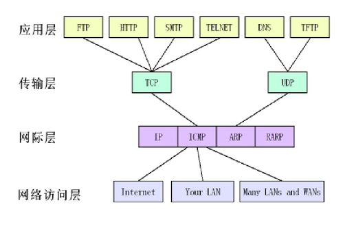 计算机网络体系结构